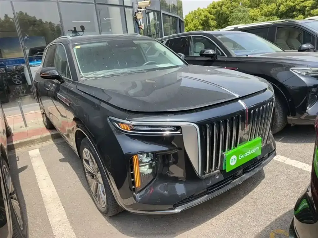 Hongqi E-HS9 2023 из CN, фото 7