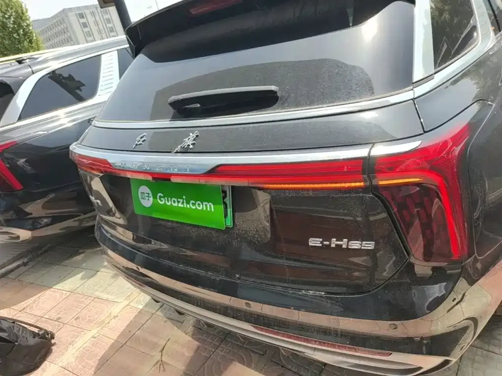 Hongqi E-HS9 2023 из CN, фото 5