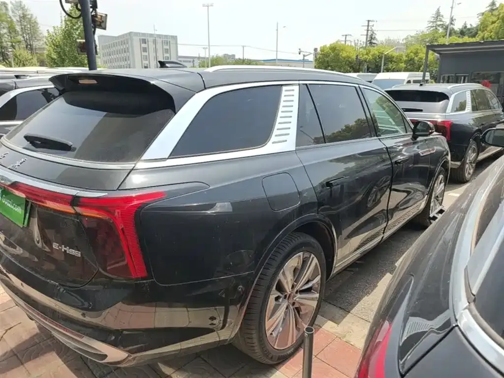 Hongqi E-HS9 2023 из CN, фото 8