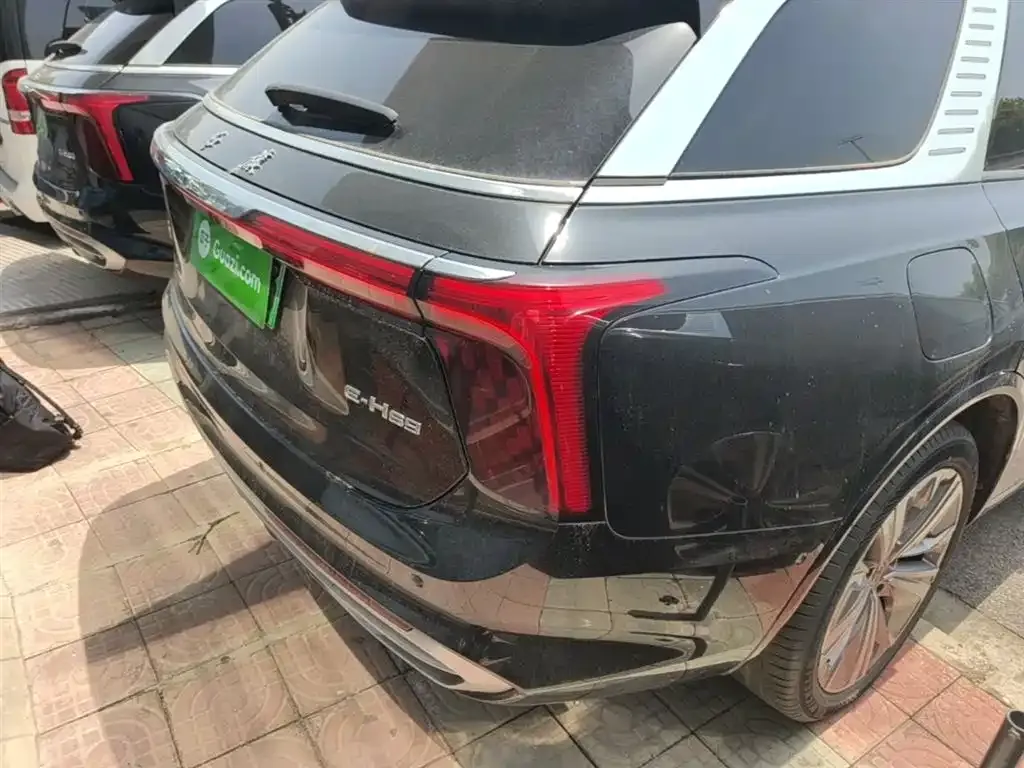 Hongqi E-HS9 2023 из CN, фото 3