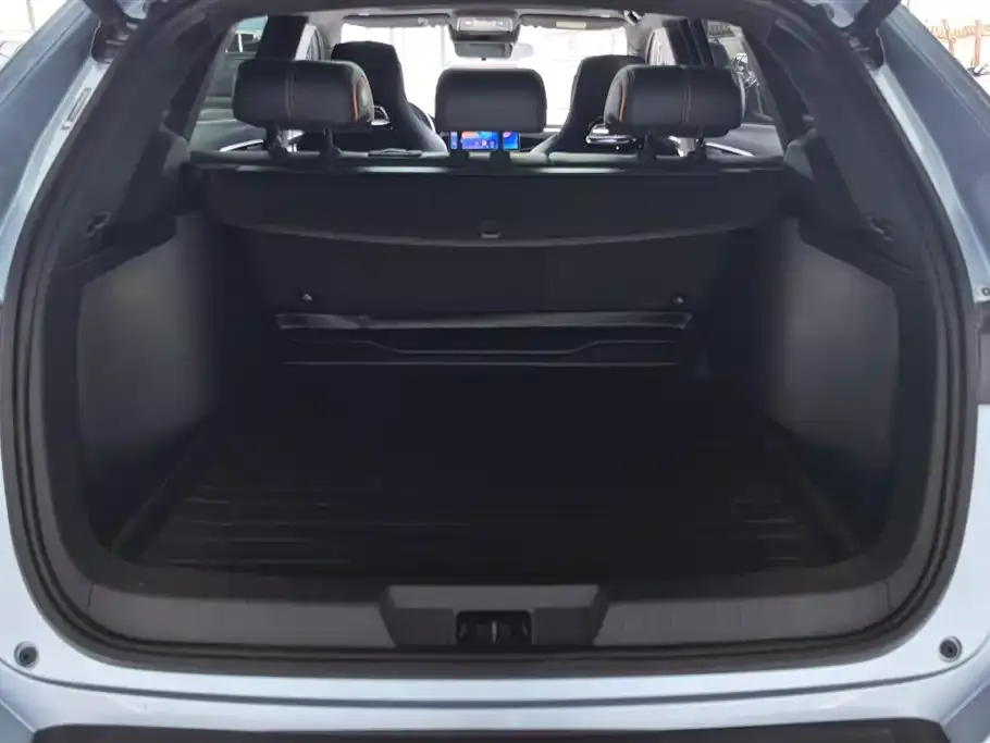 BYD PLUS New Energy — фото 2