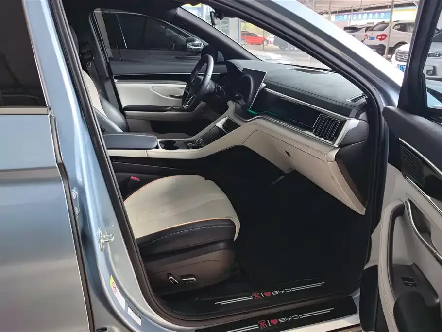 BYD PLUS New Energy — фото 10
