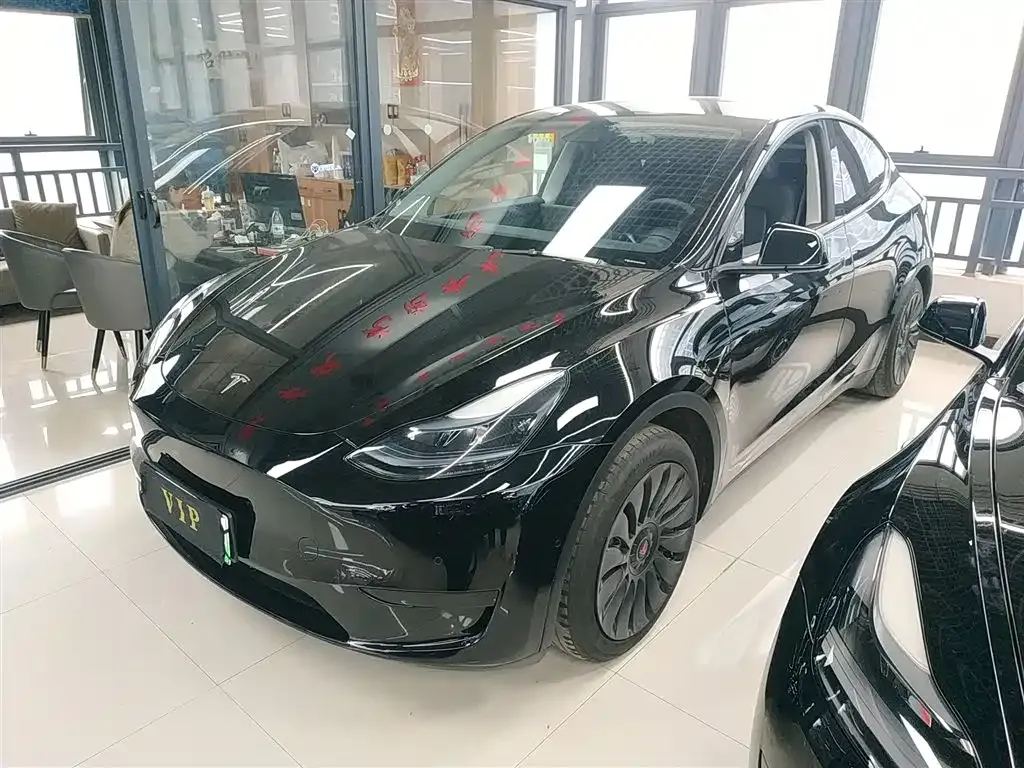 Tesla Model Y — фото 1
