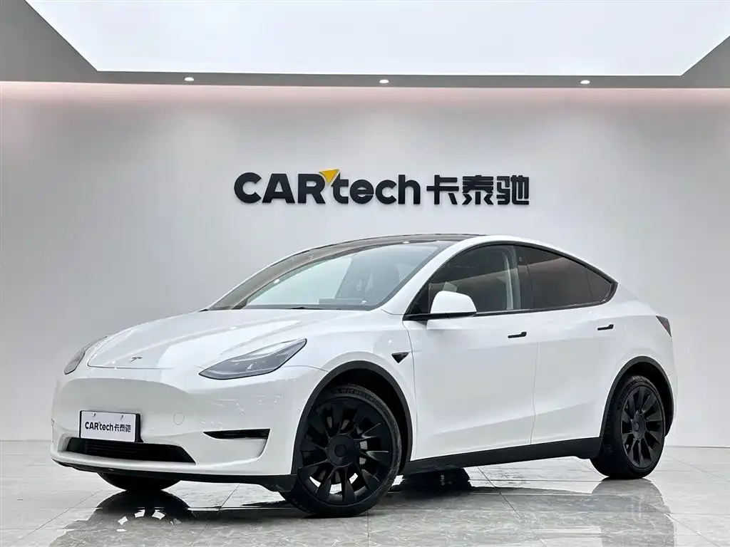 Tesla Model Y — фото 1