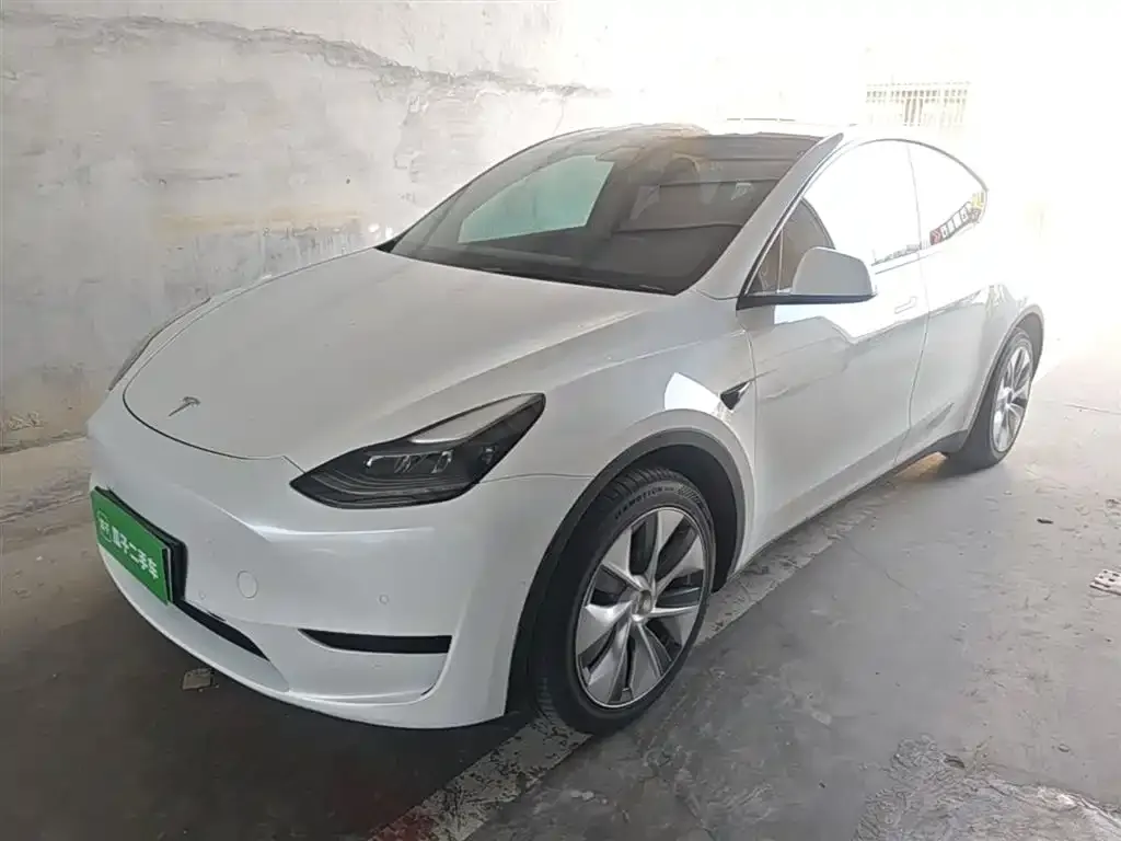 Tesla Model Y — фото 1