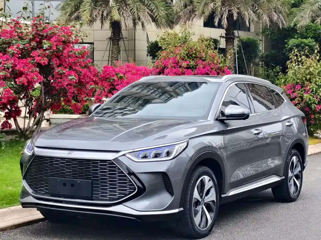 BYD PLUS New Energy
