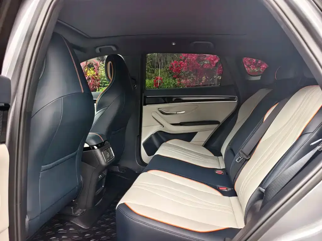 BYD PLUS New Energy 2023 из CN, фото 5