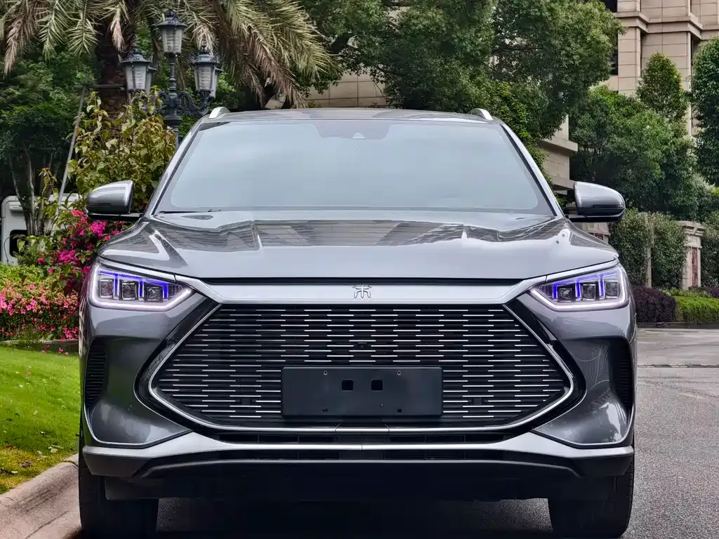 BYD PLUS New Energy 2023 из CN, фото 6