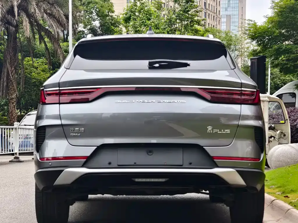 BYD PLUS New Energy 2023 из CN, фото 3