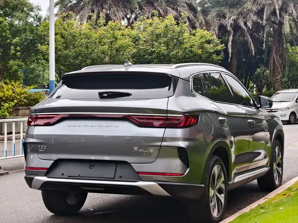 BYD PLUS New Energy 2023 из CN, фото 7