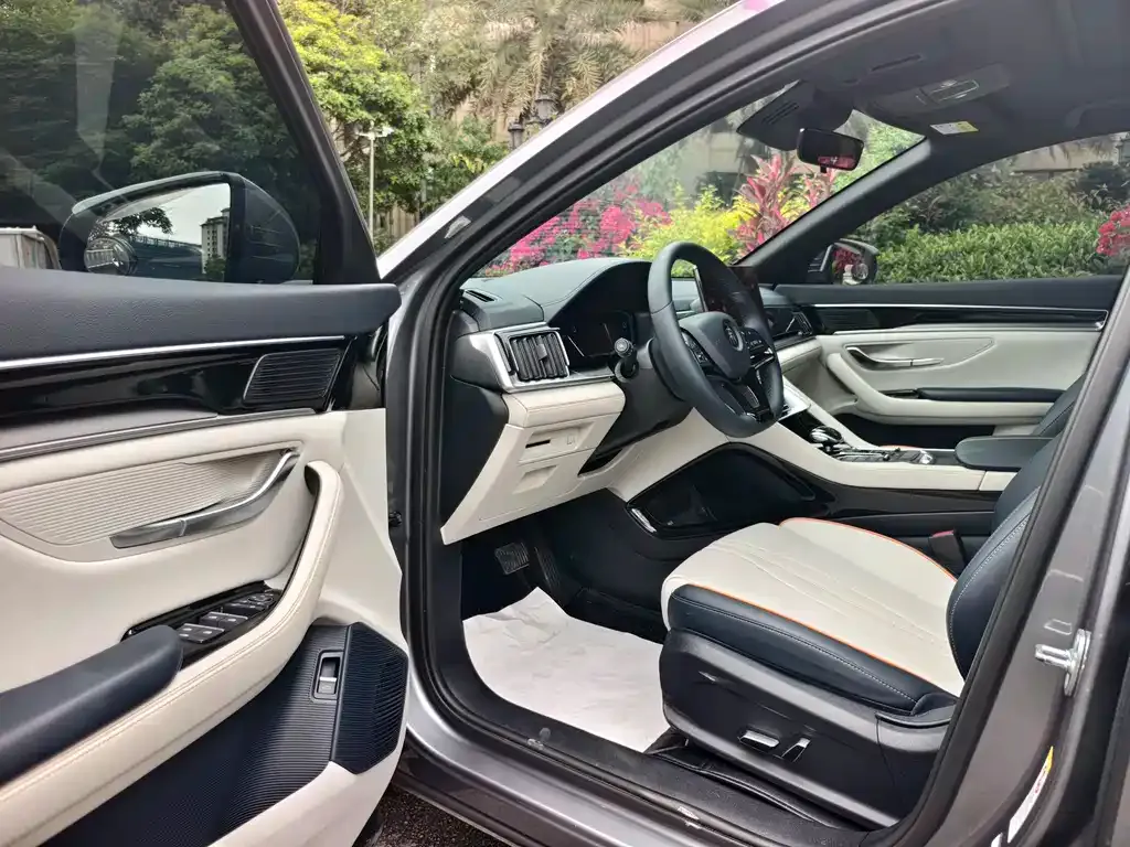BYD PLUS New Energy 2023 из CN, фото 2