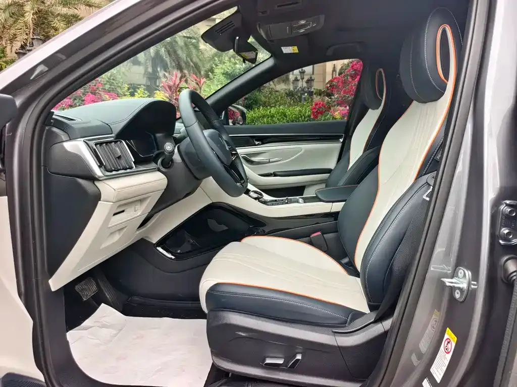 BYD PLUS New Energy 2023 из CN, фото 4