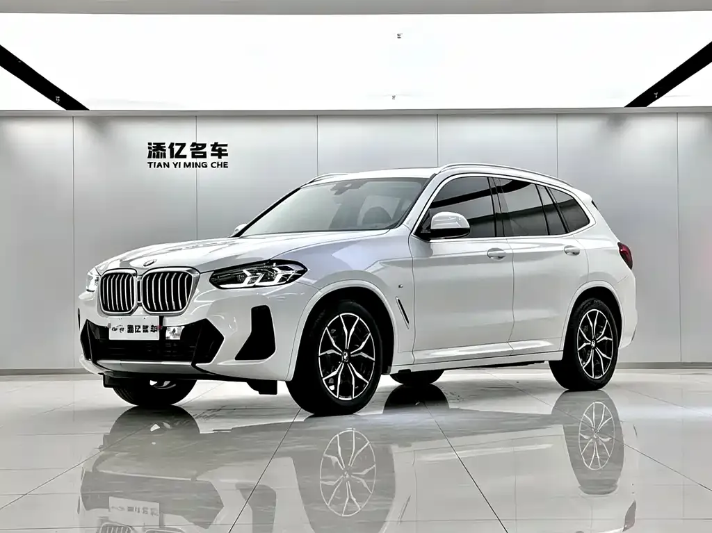 BMW X3 — фото 1