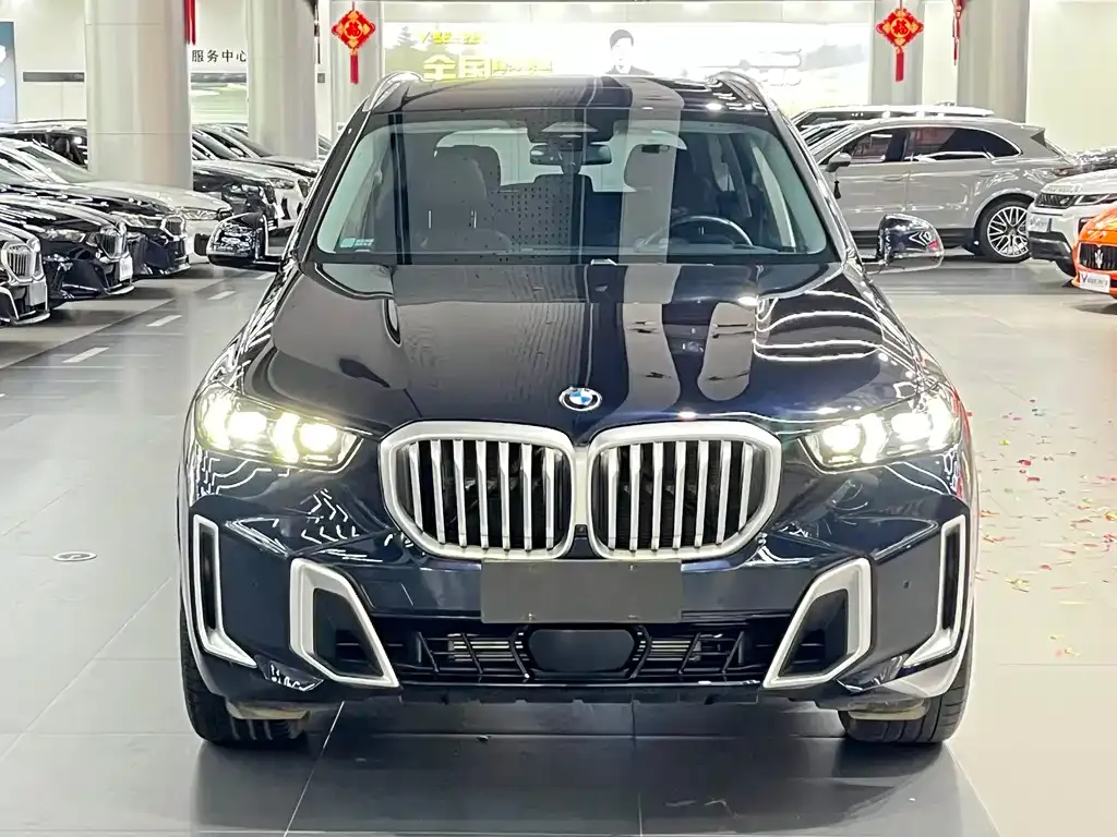 BMW X5 — фото 10