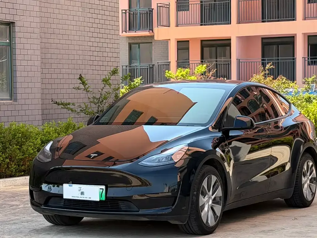 Tesla Model Y — фото 1