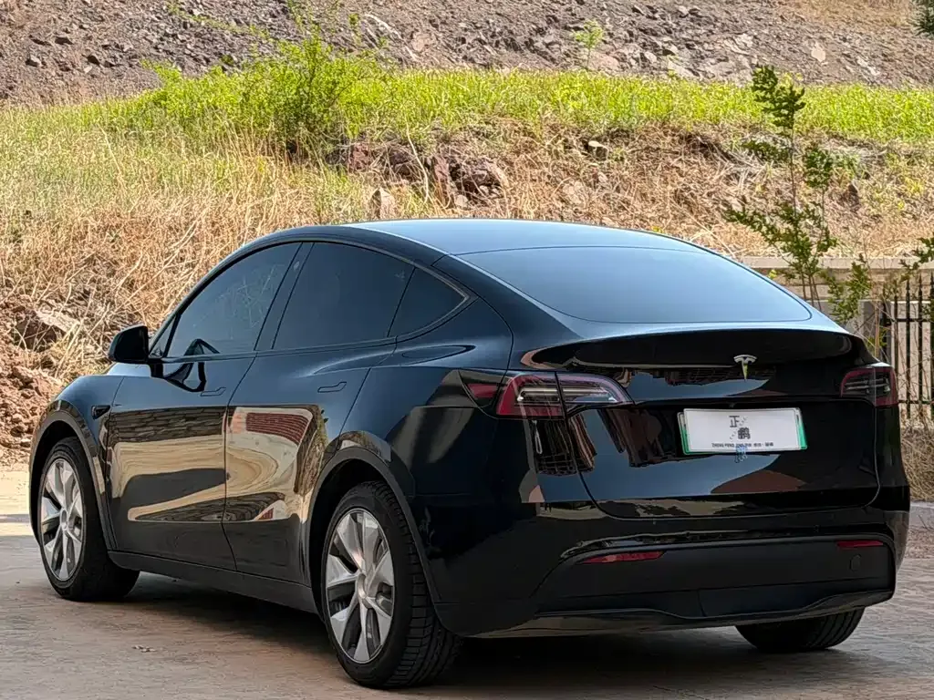Tesla Model Y — фото 8