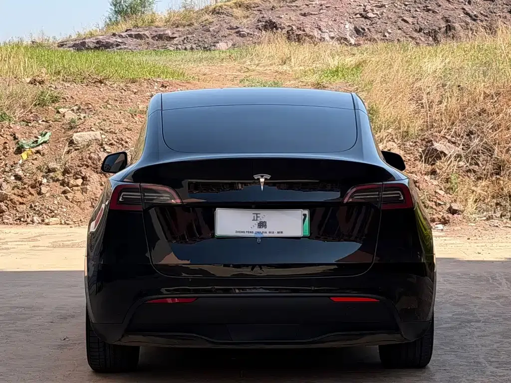 Tesla Model Y — фото 10