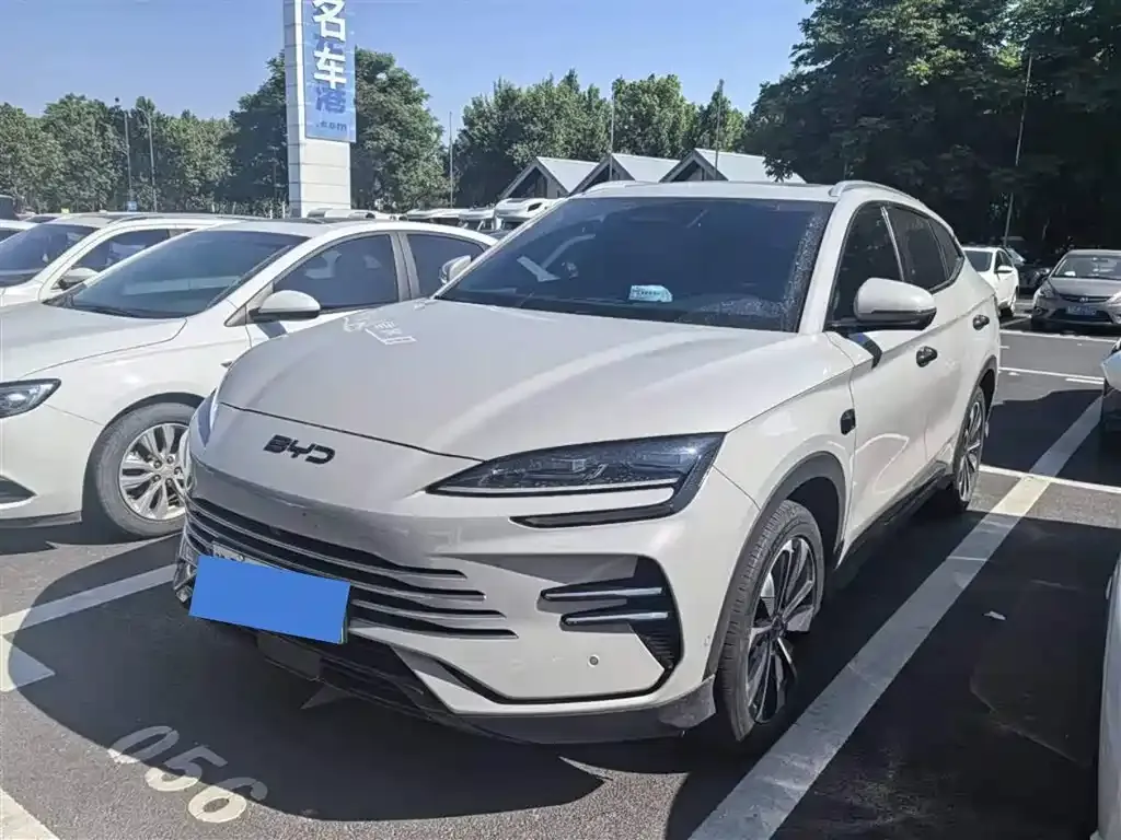 BYD PLUS New Energy — фото 1
