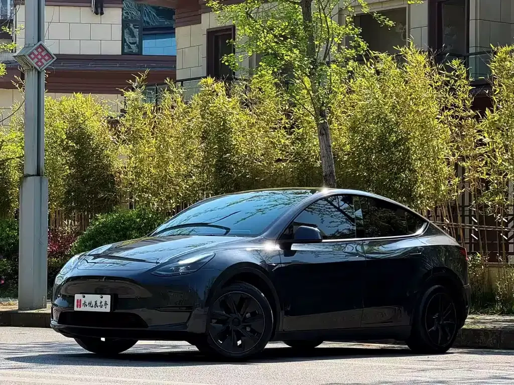 Tesla Model Y 2024 из CN, фото 1