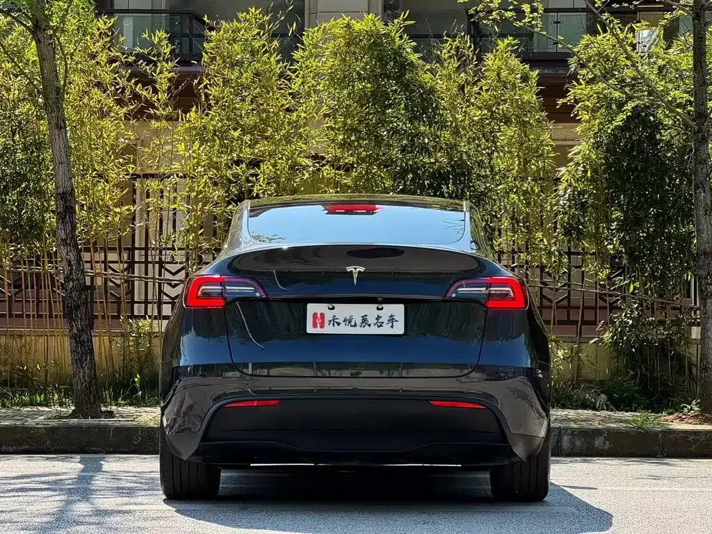 Tesla Model Y 2024 из CN, фото 9