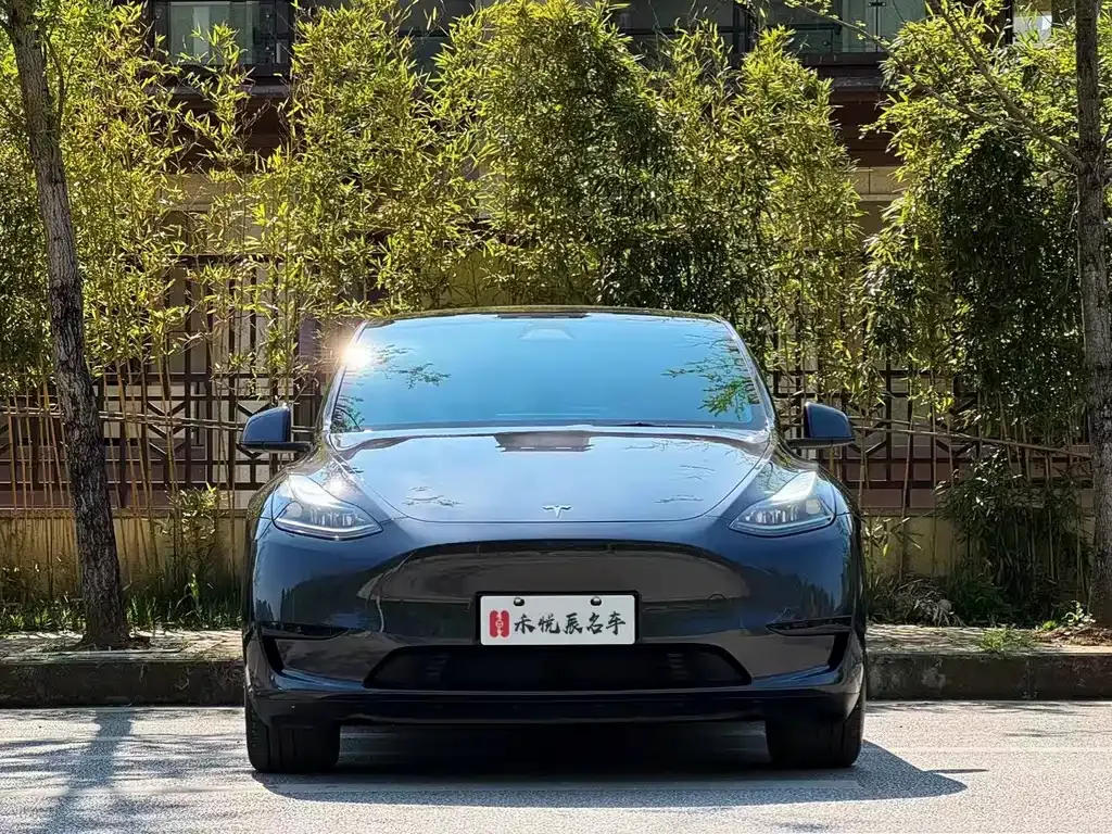 Tesla Model Y 2024 из CN, фото 8