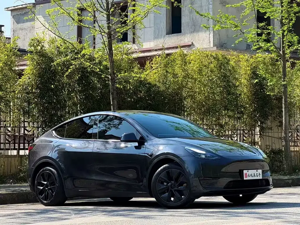 Tesla Model Y 2024 из CN, фото 10