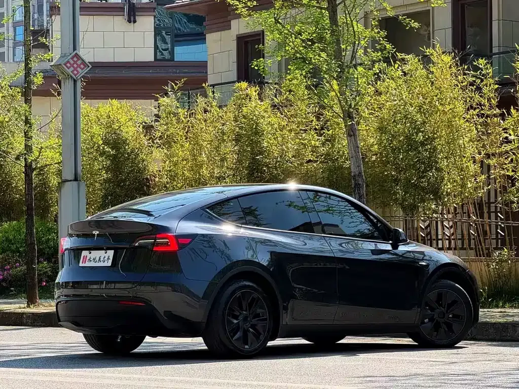 Tesla Model Y 2024 из CN, фото 7