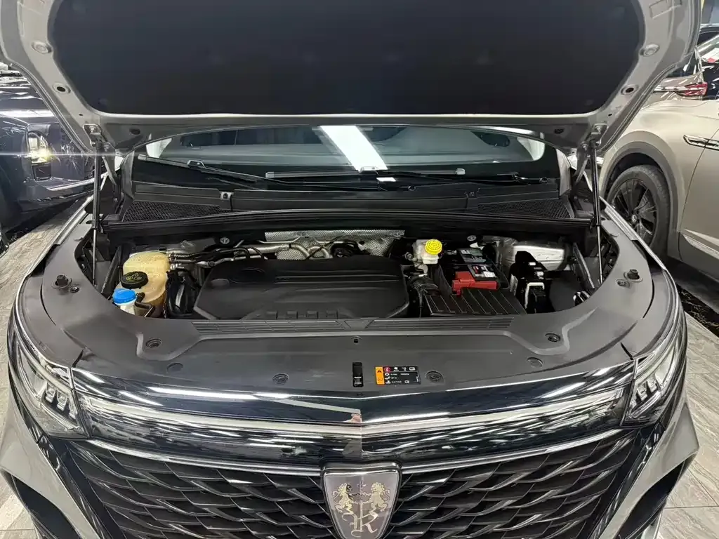 Roewe iMAX8 2021 из CN, фото 7