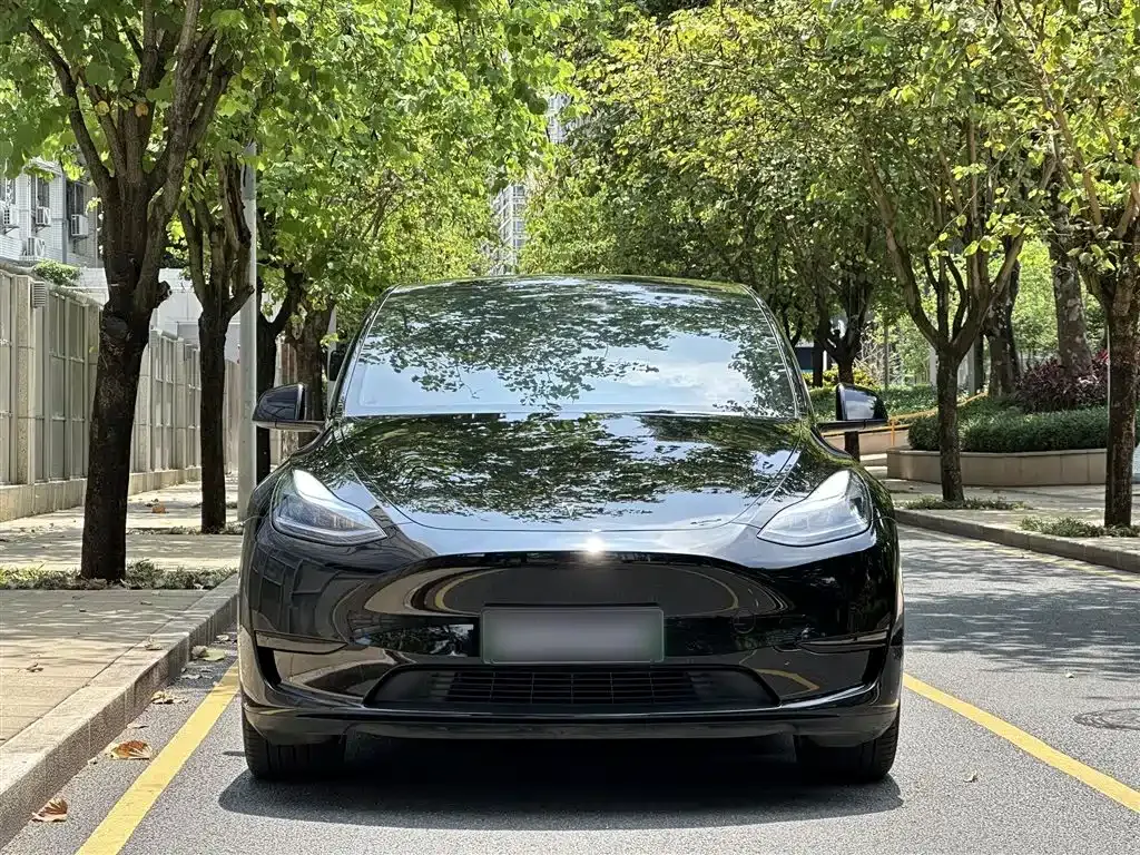 Tesla Model Y — фото 7