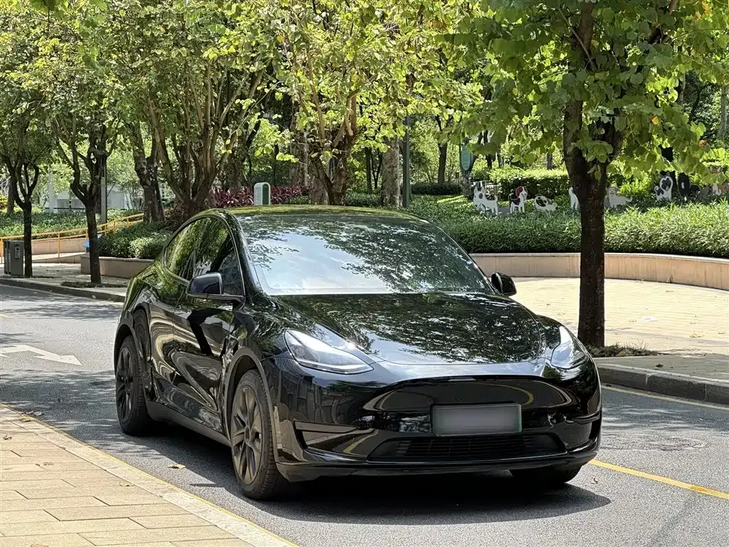 Tesla Model Y — фото 9