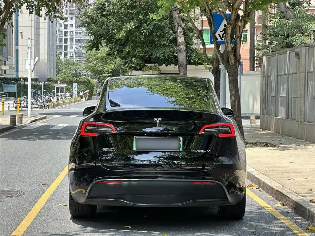 Tesla Model Y — фото 3