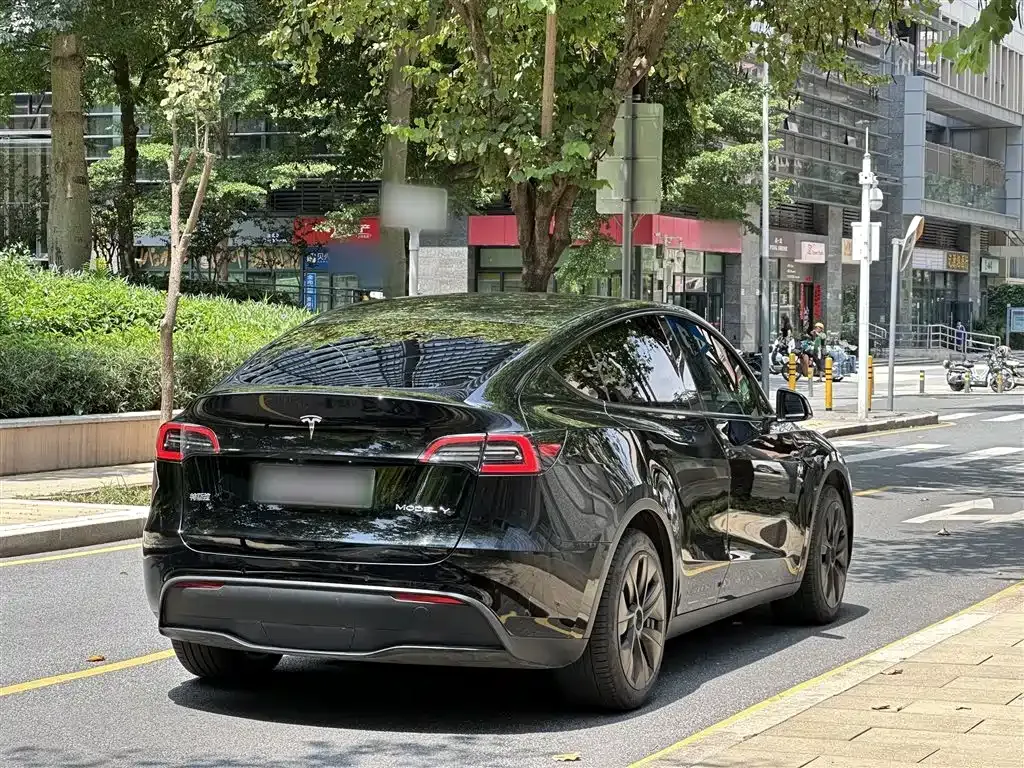 Tesla Model Y — фото 4