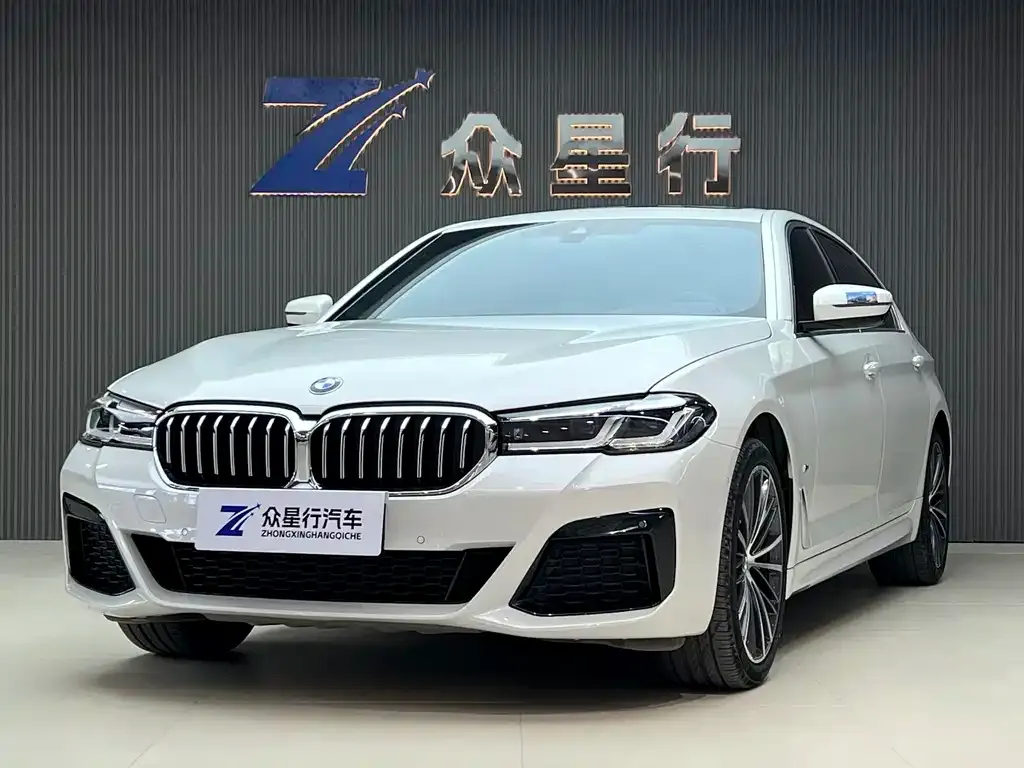 BMW 5 Series 2022 из CN, фото 1