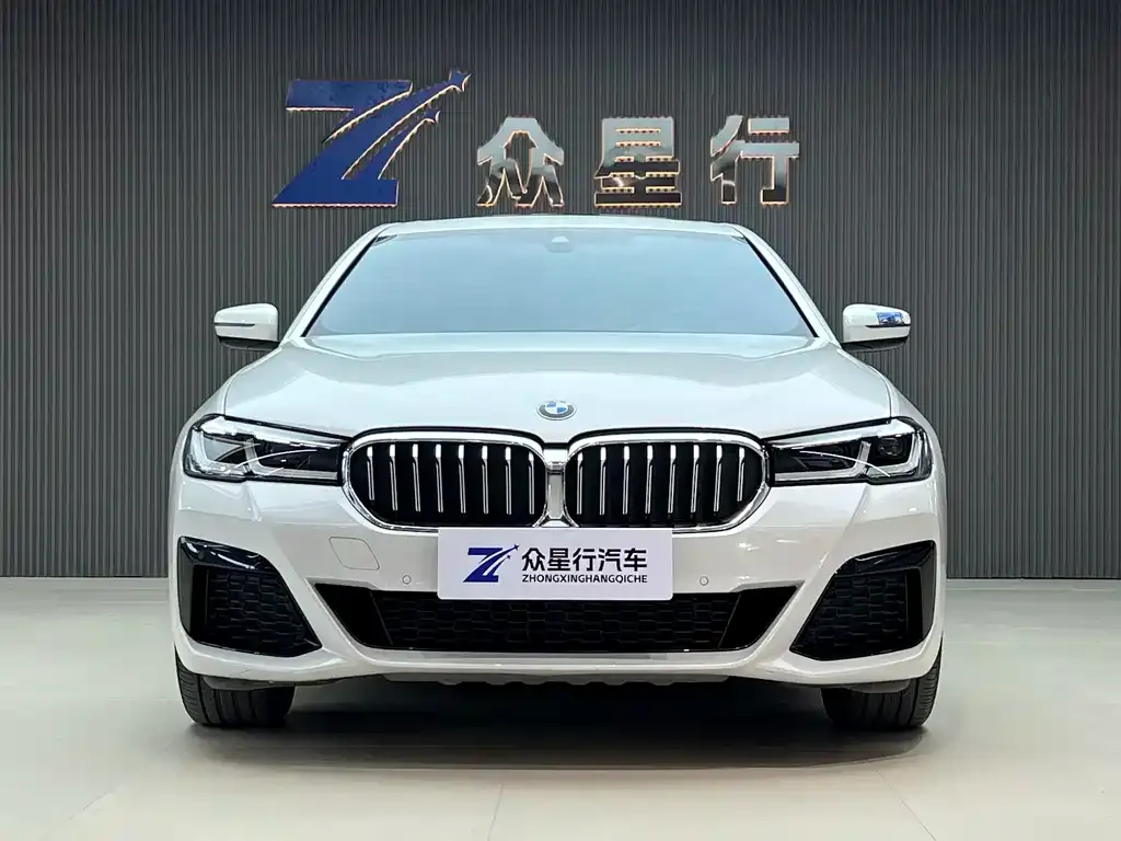 BMW 5 Series 2022 из CN, фото 2