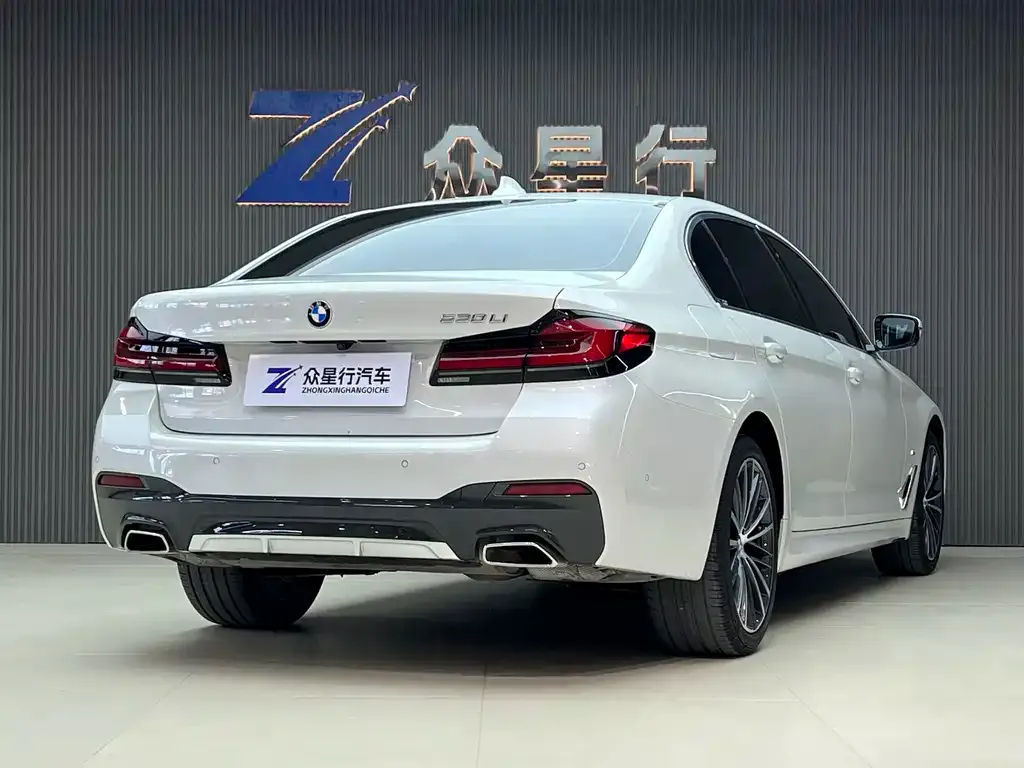 BMW 5 Series 2022 из CN, фото 4