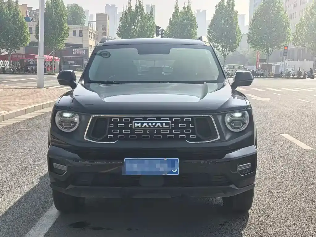 Haval H7 (Big Dog Plus) 2024 из CN, фото 8