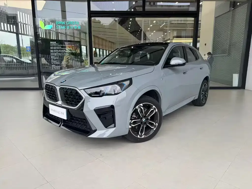 BMW X2 (Import) — фото 1