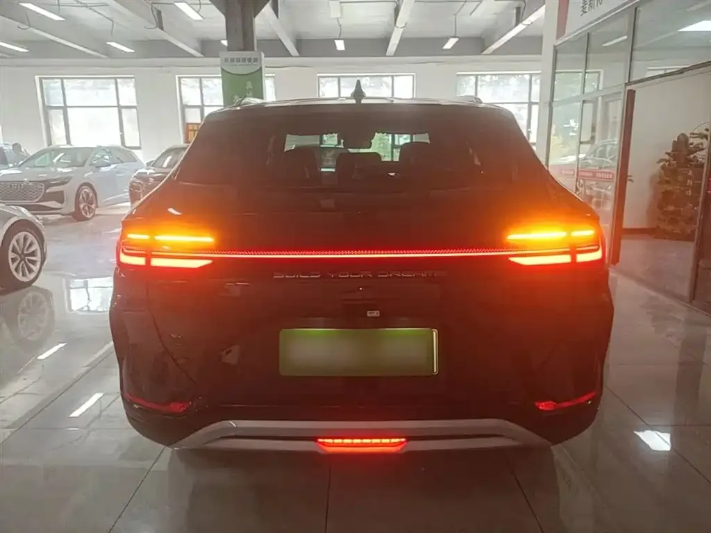 BYD PLUS New Energy — фото 10