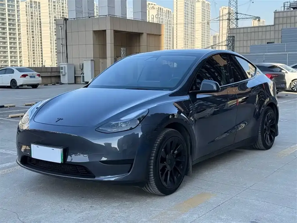 Tesla Model Y — фото 1