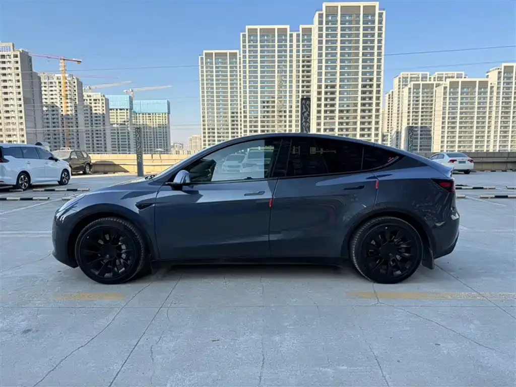 Tesla Model Y — фото 5