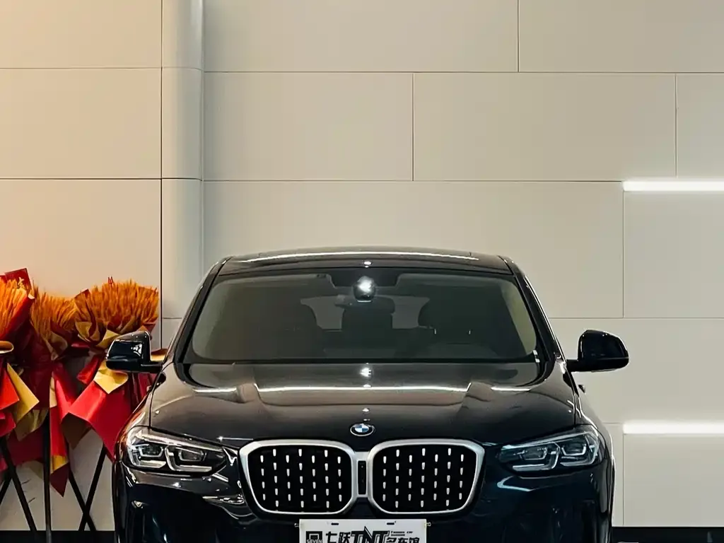 BMW X4 2024 из CN, фото 4