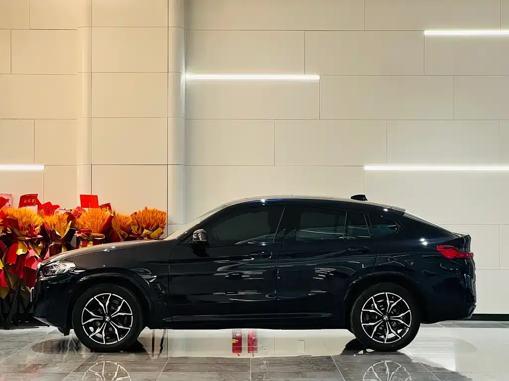 BMW X4 2024 из CN, фото 10