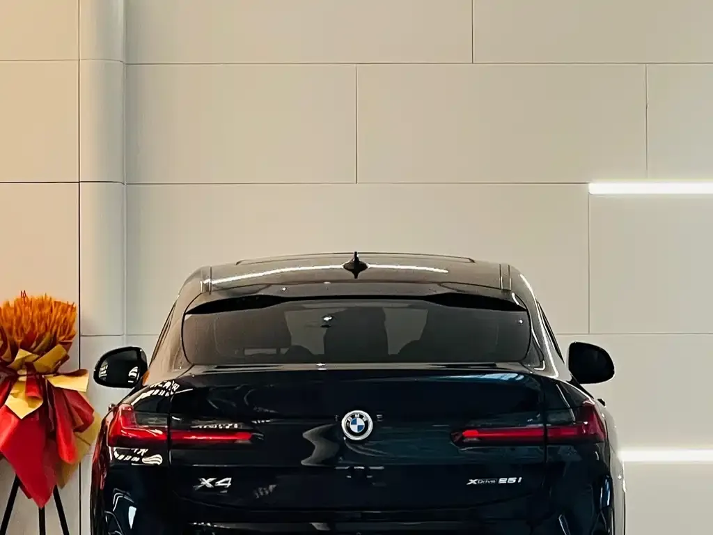 BMW X4 2024 из CN, фото 5