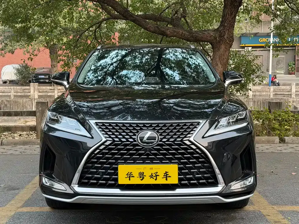 Lexus RX — фото 10