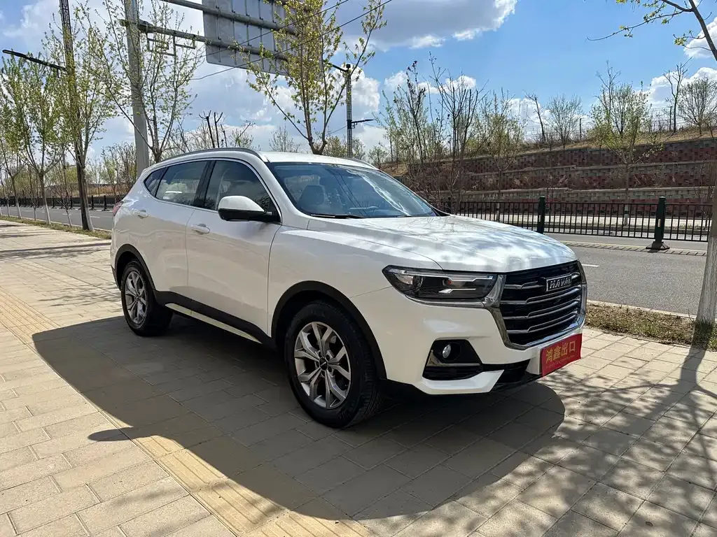 Haval H6 2022 из CN, фото 6