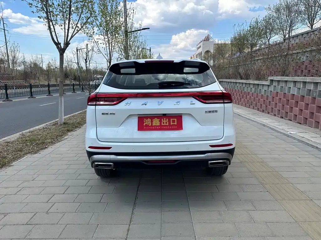 Haval H6 2022 из CN, фото 10