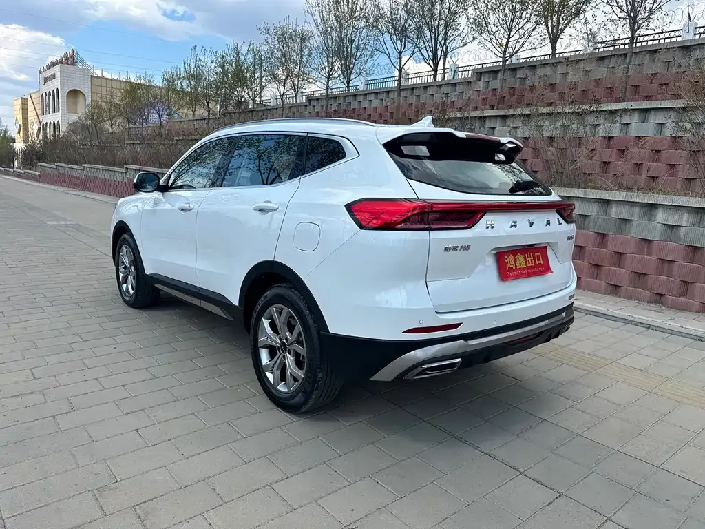 Haval H6 2022 из CN, фото 7