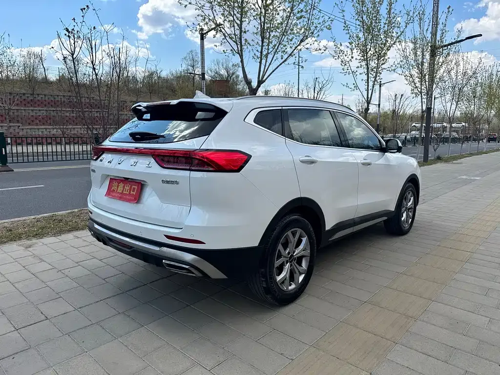 Haval H6 2022 из CN, фото 9