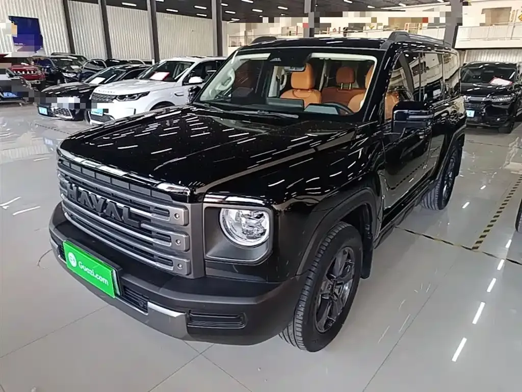 Haval Menglong New Energy — фото 1