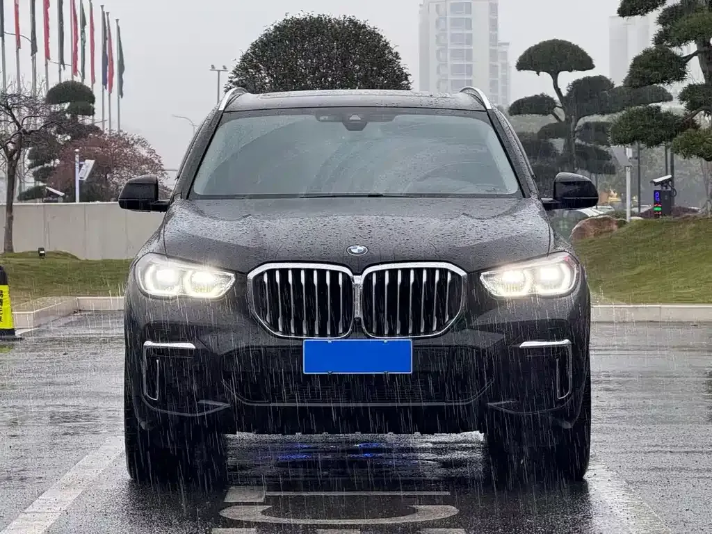 BMW X5 — фото 8